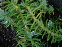 c45381a7-Picture 515.jpg